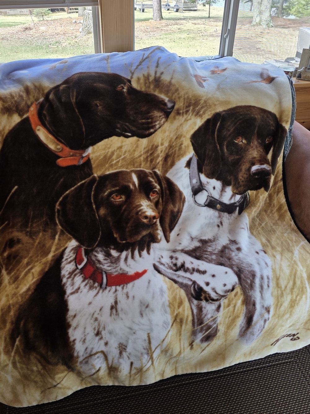 James Killen 60"×48" Plush Throw Blanket